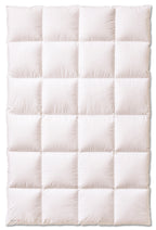 Daunendecke Elegance 700 4x6 Karos warm